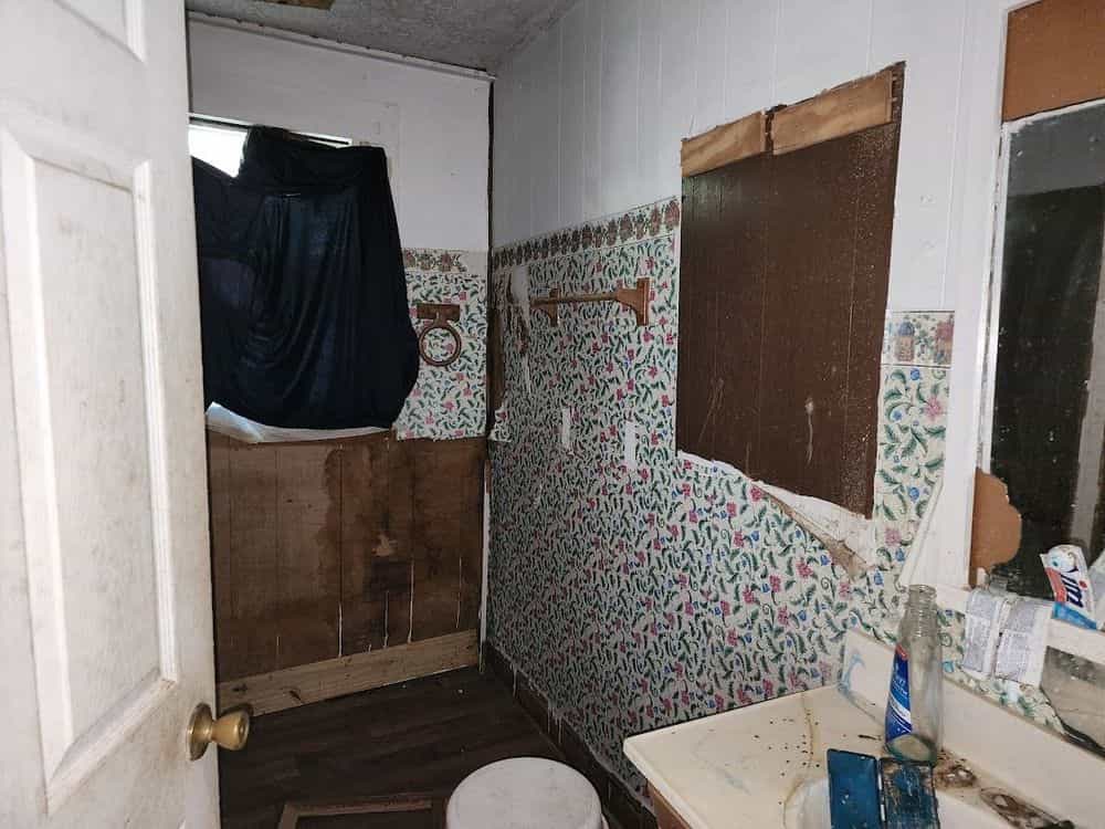 Picture of undefined, number 18