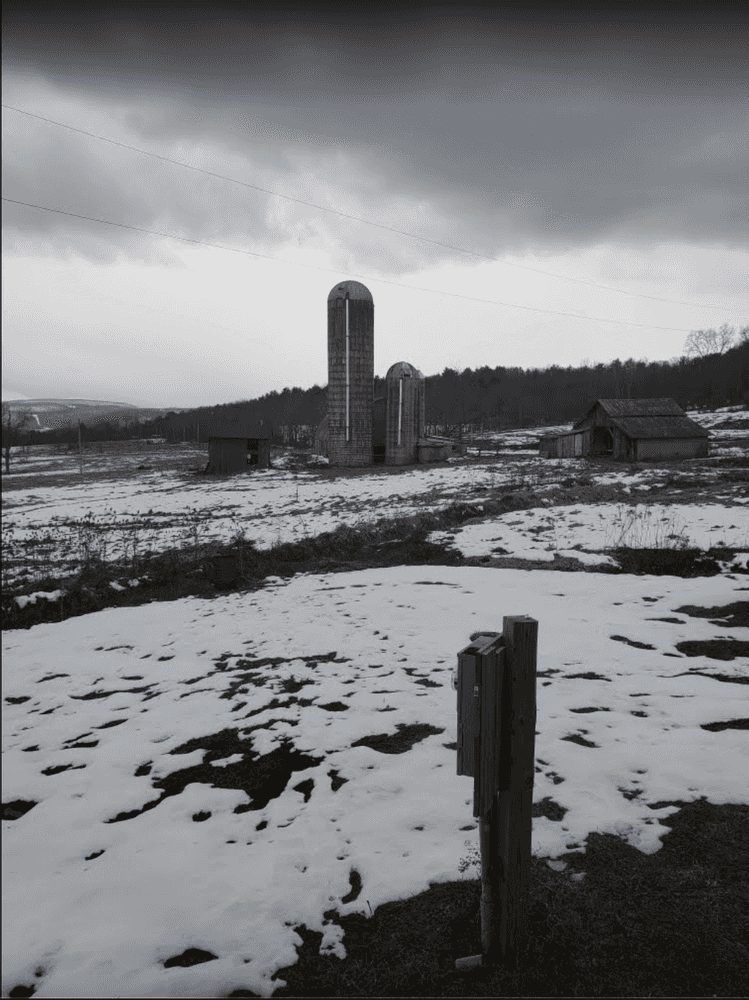 Picture of undefined, number 3