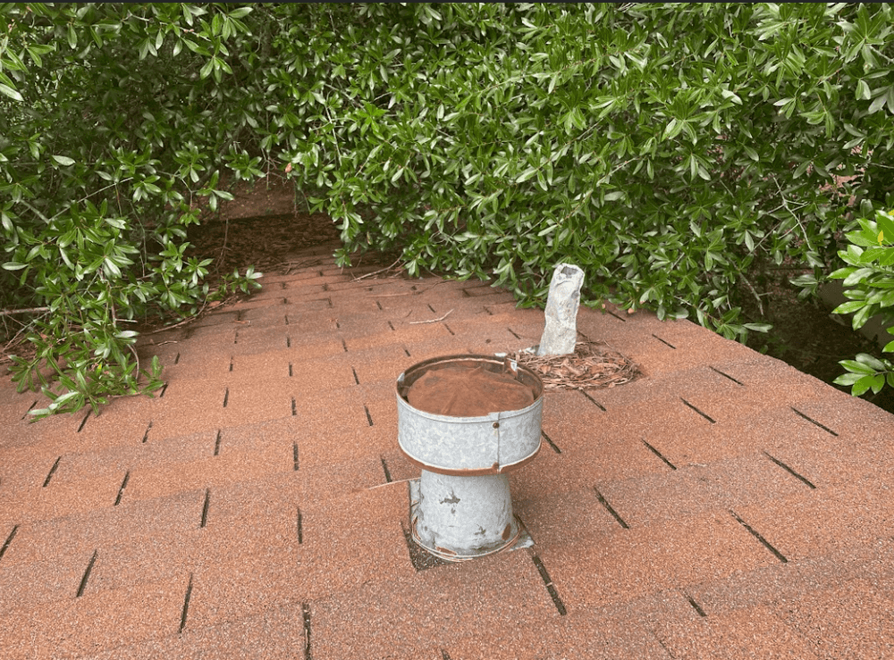Picture of undefined, number 4