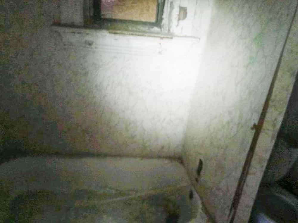 Picture of undefined, number 12