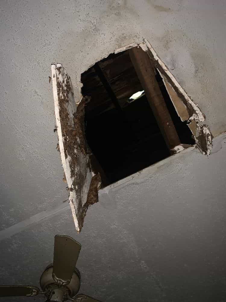Picture of undefined, number 4