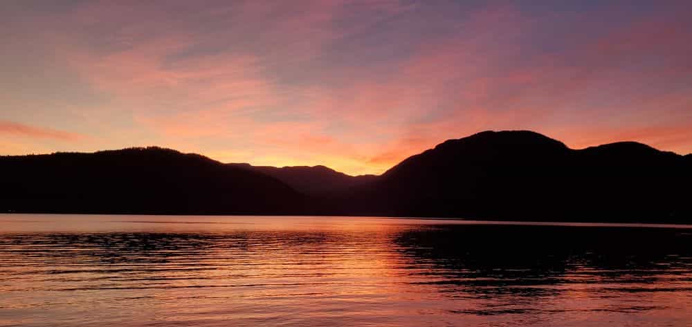 Picture of undefined, number 14