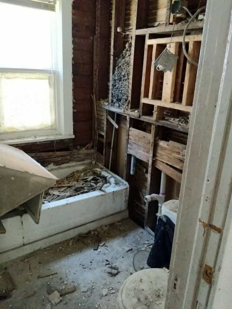 Picture of undefined, number 36
