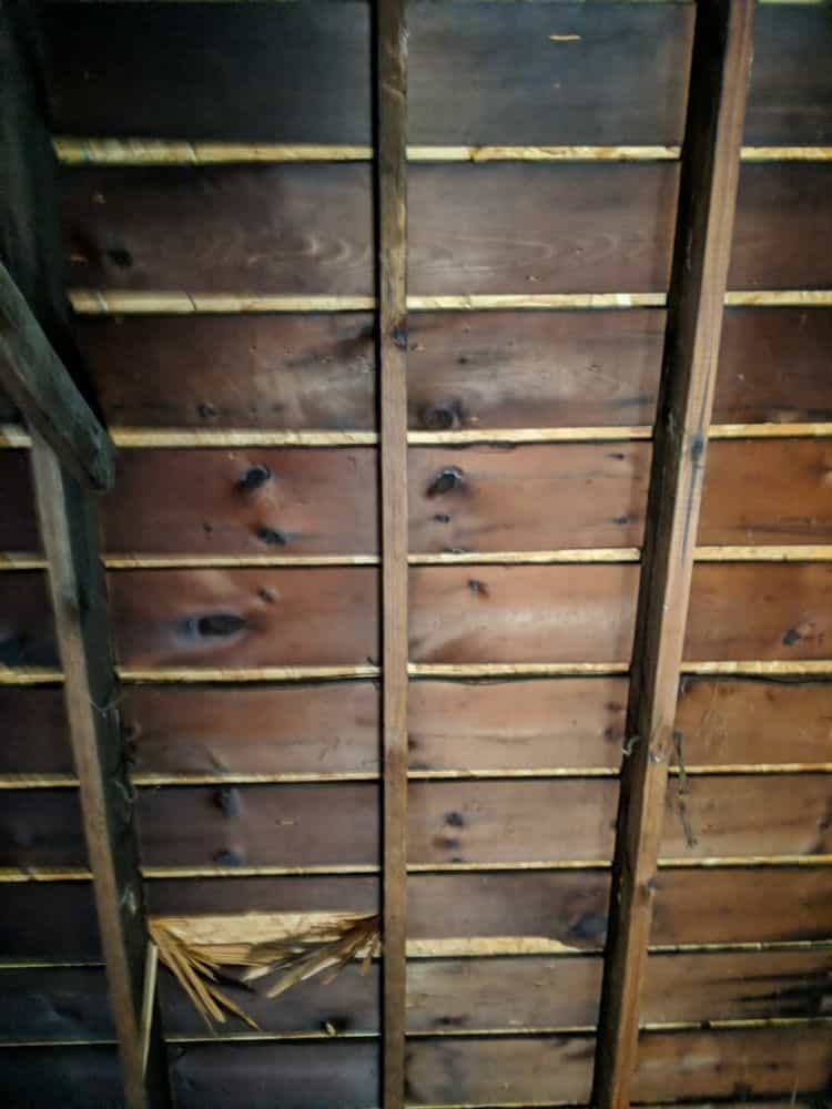 Picture of undefined, number 5