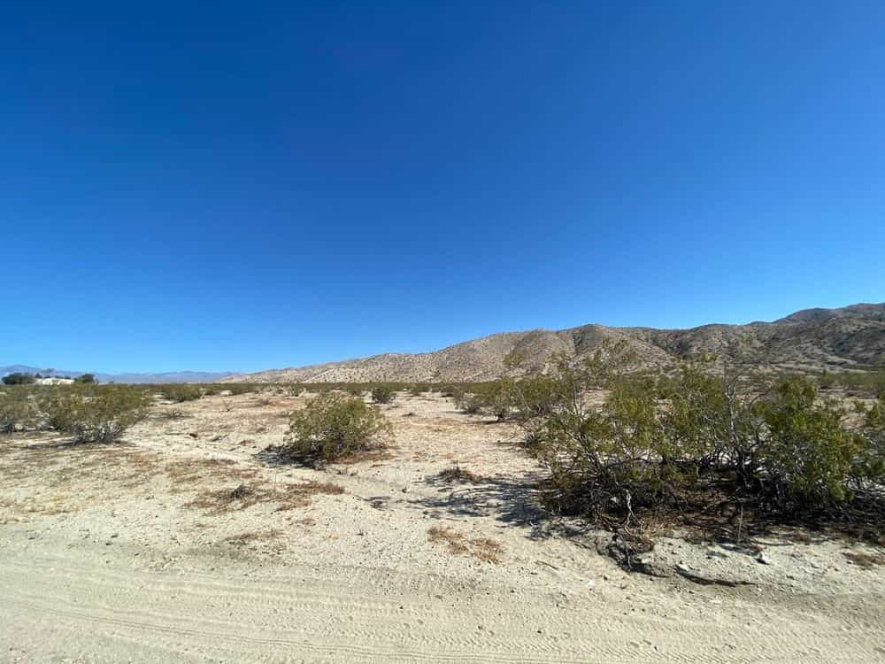 Picture of undefined, number 13