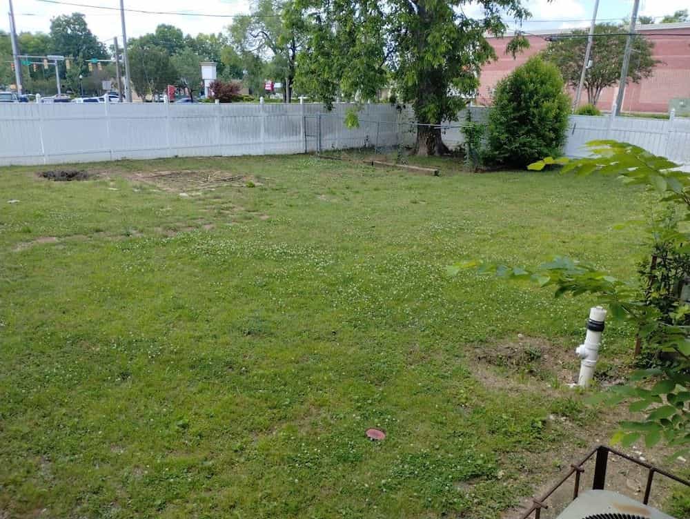 Picture of undefined, number 103