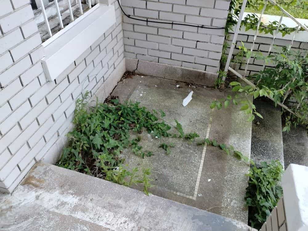Picture of undefined, number 74