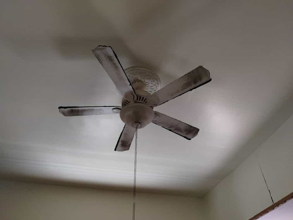 Picture of undefined, number 65