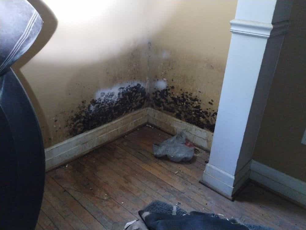 Picture of undefined, number 71
