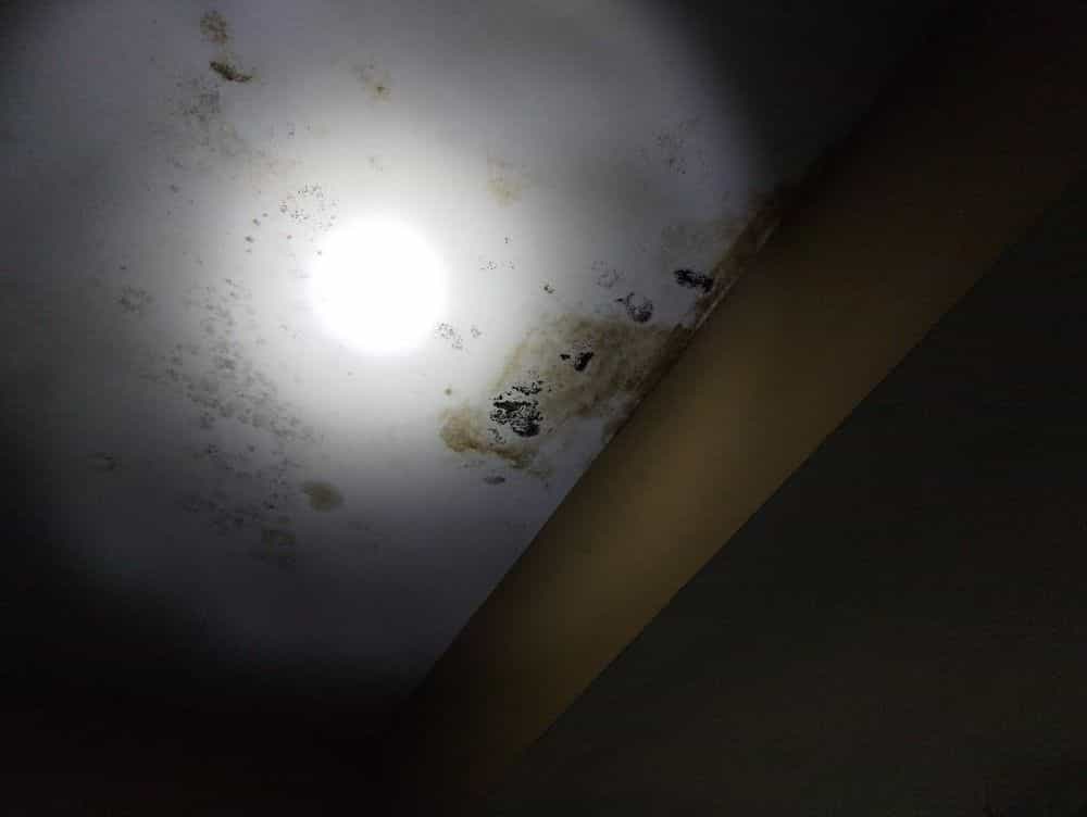 Picture of undefined, number 69