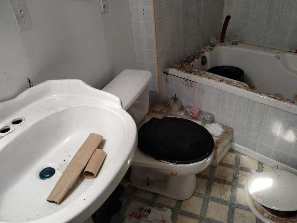 Picture of undefined, number 25
