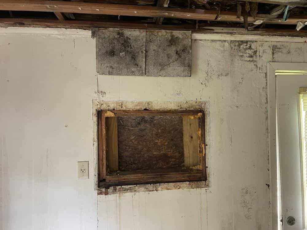 Picture of undefined, number 41