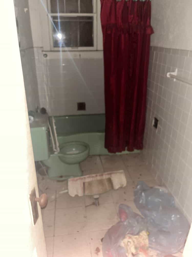 Picture of undefined, number 3