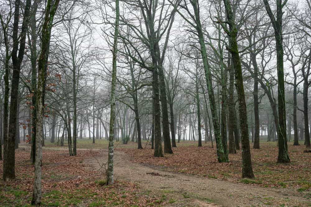 Picture of undefined, number 28