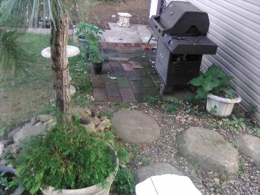Picture of undefined, number 216