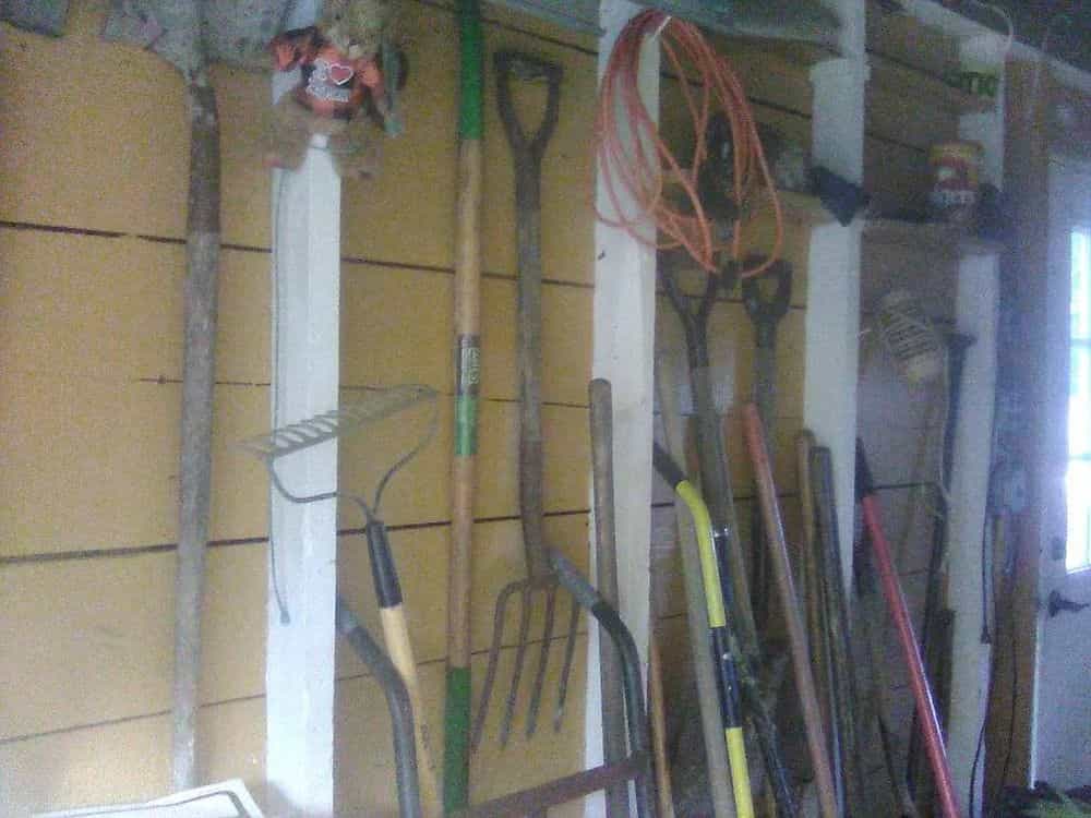Picture of undefined, number 219