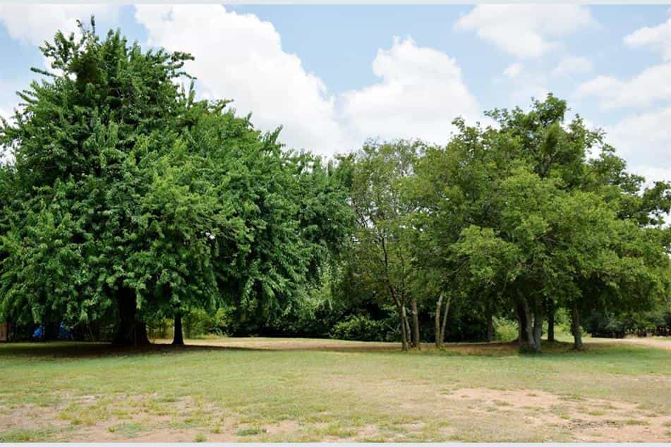 Picture of undefined, number 4
