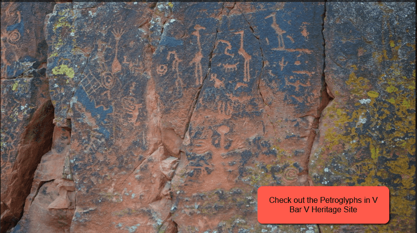 Picture of undefined, number 5